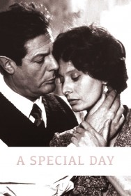 titta-A Special Day-online