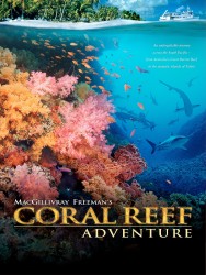 titta-Coral Reef Adventure-online