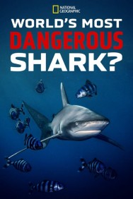 titta-World's Most Dangerous Shark?-online