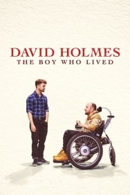 titta-David Holmes: The Boy Who Lived-online