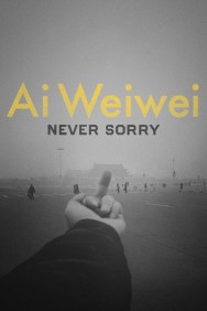 titta-Ai Weiwei: Never Sorry-online