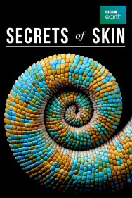 titta-Secrets of Skin-online