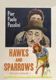 titta-Hawks and Sparrows-online