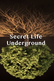 titta-Secret Life Underground-online