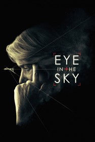 titta-Eye in the Sky-online