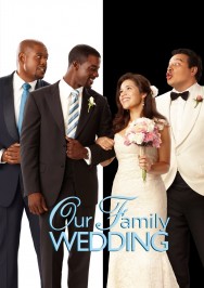titta-Our Family Wedding-online