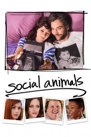 titta-Social Animals-online