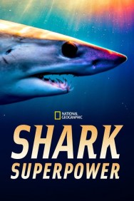 titta-Shark Superpower-online