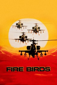 titta-Fire Birds-online