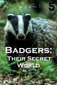 titta-Badgers: Their Secret World-online