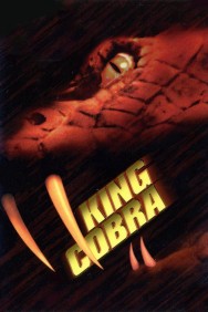 titta-King Cobra-online