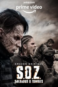 titta-S.O.Z.: Soldiers or Zombies-online