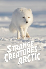 titta-Strange Creatures of the Arctic-online