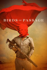 titta-Birds of Passage-online