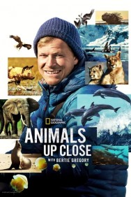 titta-Animals Up Close with Bertie Gregory-online