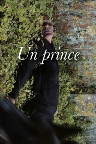titta-A Prince-online