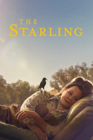 titta-The Starling-online