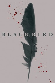 titta-Black Bird-online