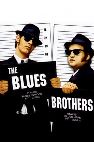 titta-The Blues Brothers-online