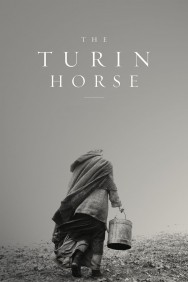 titta-The Turin Horse-online