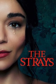 titta-The Strays-online
