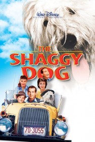 titta-The Shaggy Dog-online