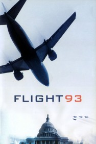 titta-Flight 93-online