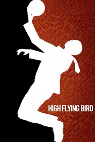 titta-High Flying Bird-online