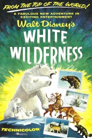 titta-White Wilderness-online