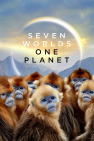 titta-Seven Worlds, One Planet-online