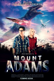 titta-Mount Adams-online