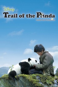 titta-Trail of the Panda-online