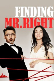 titta-Finding Mr. Right-online