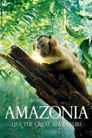 titta-Amazonia-online