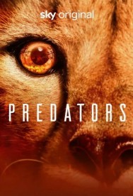 titta-Predators-online