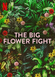 titta-The Big Flower Fight-online