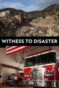 titta-Witness to Disaster-online