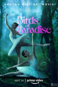 titta-Birds of Paradise-online