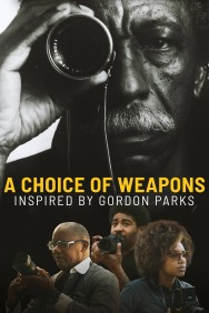 titta-A Choice of Weapons: Inspired by Gordon Parks-online