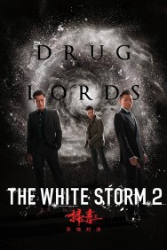 titta-The White Storm 2: Drug Lords-online