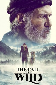 titta-The Call of the Wild-online