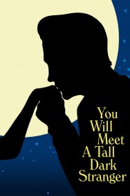 titta-You Will Meet a Tall Dark Stranger-online