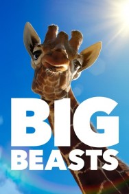 titta-Big Beasts-online
