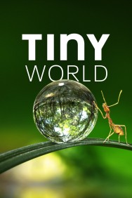 titta-Tiny World-online