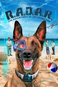 titta-R.A.D.A.R.: The Adventures of the Bionic Dog-online