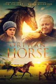titta-Orphan Horse-online