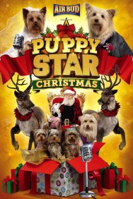 titta-Puppy Star Christmas-online