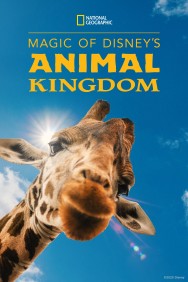 titta-Magic of Disney's Animal Kingdom-online