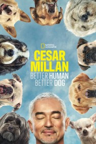 titta-Cesar Millan: Better Human, Better Dog-online