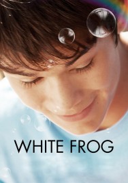 titta-White Frog-online